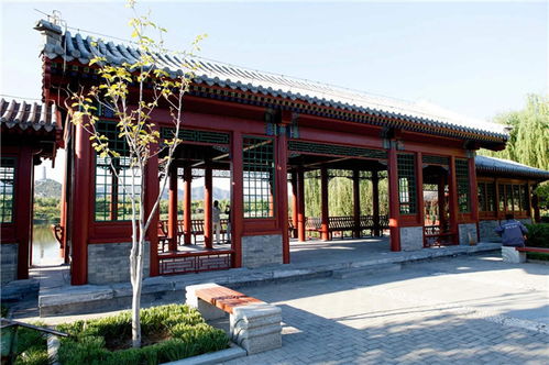 匠心雕琢，藝承古今——嘉興仿古門(mén)窗與東陽(yáng)藝隆古建工程的傳承與創(chuàng)新